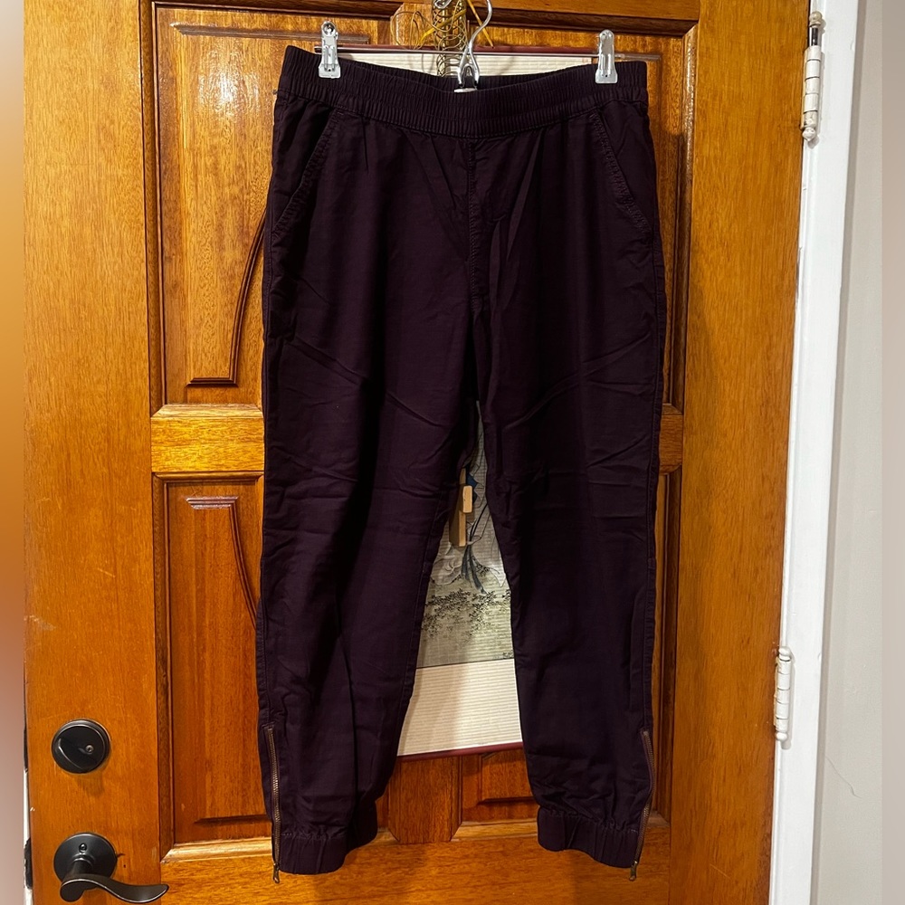EUC Large 🍇 Levi Brand Joggers with Zipper Ankle